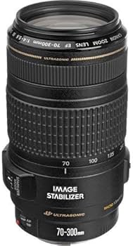 Amazon.com : Canon EF 70-300mm f/4-5.6 is USM Lens for Canon EOS