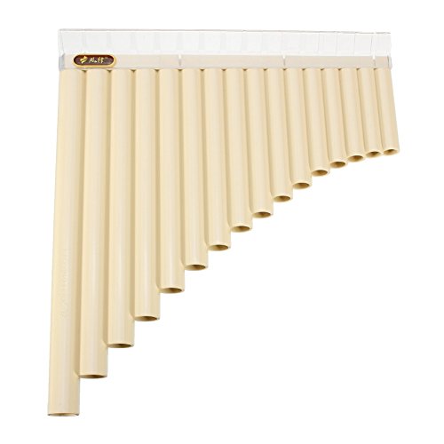 VIDOO 16 Tubo Eco Friendly Resin C Tono Pan Flauto Facile Apprendimento