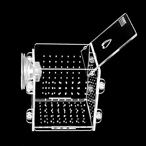 _J Y z Y YP[X e ɐBu{bNX z uP[X Y   uP[X @\Y tی  ȃXy[X ߗ 