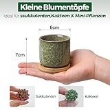 Zoom IMG-1 t4u 6 cm ceramica vasi