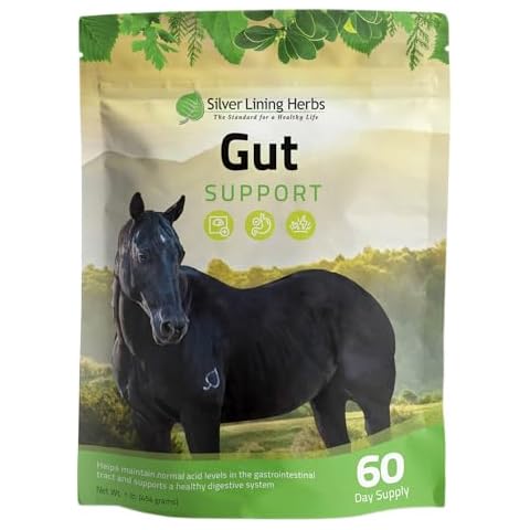 Silver Lining Herbs Gut Support for Horses - Natural Herbal Supplement for Horses - Provides Support for Equine Ulcers - Helps Promote Equine Pulmonary Health - 1 lb Bag Cover