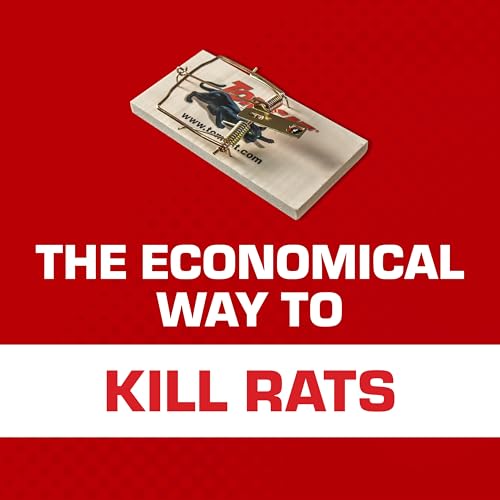 Image of Tomcat Rat Traps (Wooden), Economical, Effective Way to Catch Rats in the Home, 8-Pack