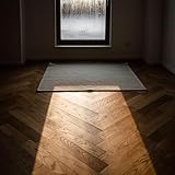  The Guitar’s Shadow in a Chilled Room