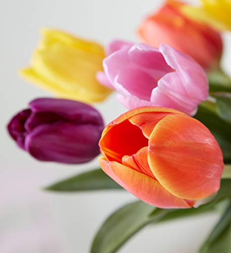 1800Flowers Mother\'s Day Assorted Tulips Fresh Flower Double Bouquet with Purple Vase (30 Tulips) - Thumbnail 2