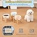 Hundenapf Keramik Futternapf Hund Erhöht - Hundefressnapf mit Rutschfestem Holzständer - Ideal für Kleine und Mittelgroße Hunde - 800 ml - Weiß