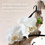 Saltair Multi-Lipid Body Butter - Rich, Nourishing Salt Water Vanilla Hydrating Body Cream with Ceramide Complex, Coconut Oil, and Shea Butter. Deep Moisturizing Dry Skin Care. 10oz Jar - Image 5