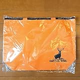 未使用 CAPTAIN STAG キャプテンスタッグ 保冷保温バッグ(大)