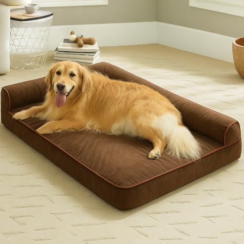 Image of gorgeous Dog Beds Memory Foam Orthopadic Large Bed Waterproof Layer for Labrador, Bulldog, Retriever, Poodle, Large Breed Dogbed (Brown, 36x27x4)
