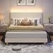 Bestier Bed Frame Queen Size with Headboard,Platform Bed Frame Upholstered with LED Lighting,Solid Wooden Bed Frame Slats Support,No Box Spring Needed, Never Squeaks, Easy Assembly,Beige