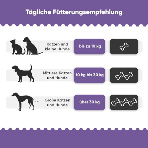 Hüft- & Gelenk Komplex - 120 Kausnacks - Soft Chews mit MSM, Kurkuma, Glucosamin, Hyaluronsäure & Chondroitin - Hundeleckerli & Katzen Leckerli - Alternative zu Gelenktabletten Hund - animigo