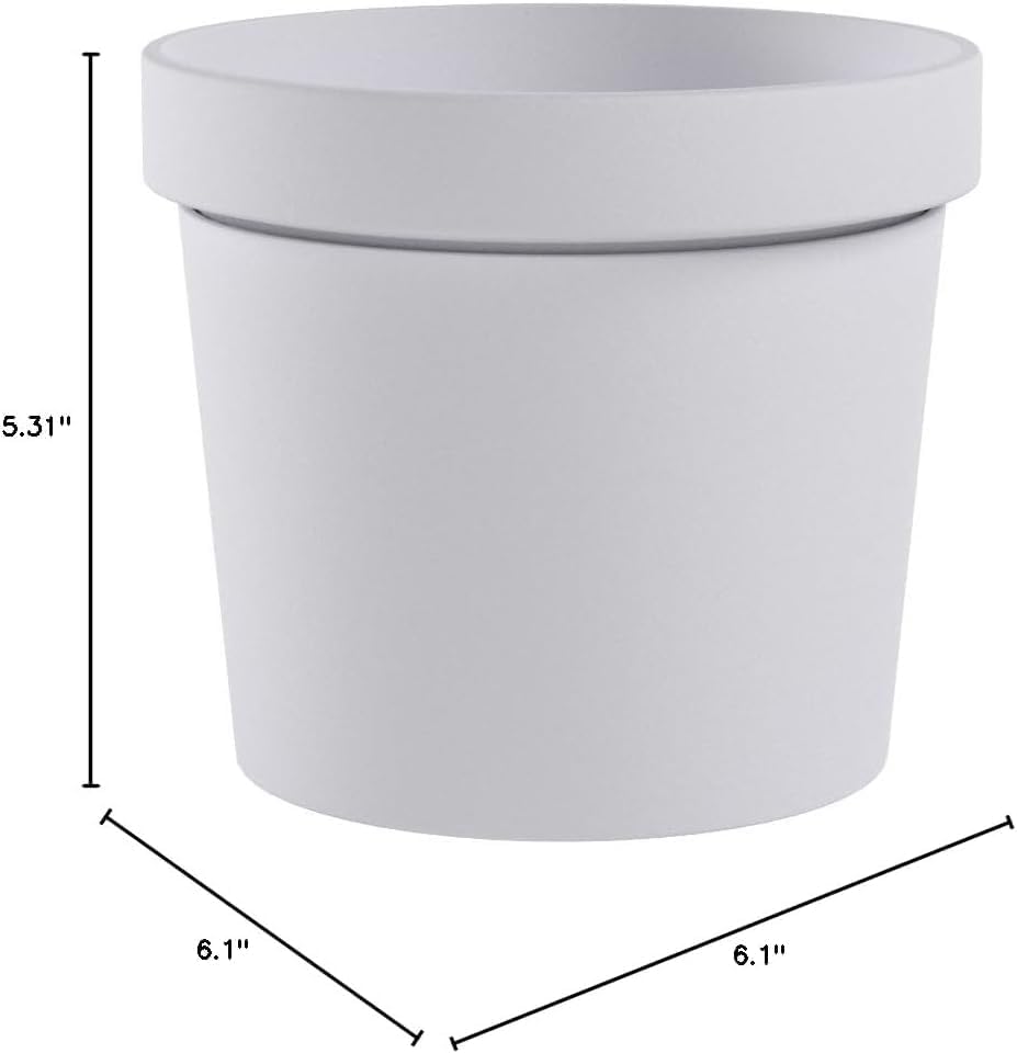 Discover the Ultimate Disguise: Suck UK