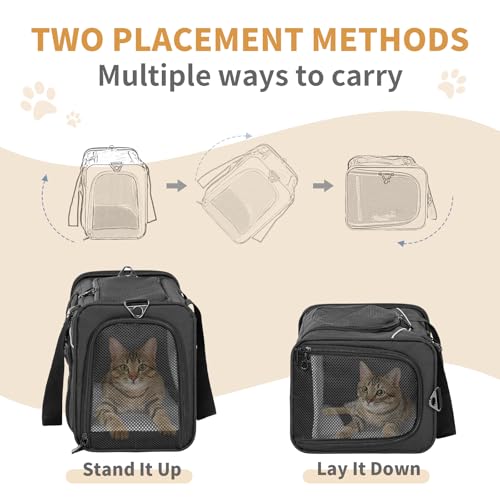 Petsfit Transporttasche Hunde und Katze, Hundetasche für Kleine Hunde Flugzeug, Katzentransportbox gut für Reisen im Auto Flugzeug oder in der Bahn