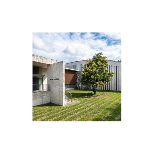 [ギフト券]公益財団法人奥田元宋・小由女美術館 奥田元宋・小由女美術館常設展ペアチケット(ランチ付) ペア チケット 広島 三次 観光