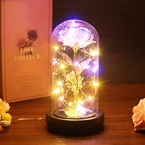 Foonii La Bella y La Bestia Encantada, Kit de Rosas, Elegante Cúpula de Cristal, Luces LED, Decoración para Día de San Valentín Aniversario Bodas Cover
