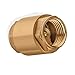 Brass One Way Valve 1/2 inch Backflow Preventer Female NPT Thread For Plumbing and Industrial Applications 0,5