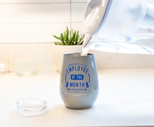 Silver Buffalo The Office Employee of the Month Double Wall Stainless Steel Stemless Tumbler w/Lid, 10 Ounces