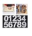 Large Number Cake Mold 0-9 Numbers Cake Moulds For Fillings Layered Cake Wedding Birthday (24cm)