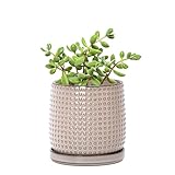 D'vine Dev 4 Inch Ceramic Beaded Stoneware Planter Pot - Flower Pot with Drainage Holes and Saucers for Indoor Succulent Plants or Flowers, Light Brown, 27-C-Z-4