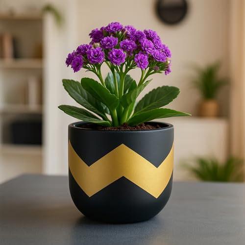Image of Urban Plant Terracotta Pot - Trendy Planter for Modern Home & Garden Spaces (Nova Terracotta Pot - Black)