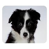 cucciolo di border collie prezzo Tappetino per mouse perfetto: questo tappetino per mouse da gioco da 21,1 x 24,9 cm è sufficiente per adattarsi al tuo mouse da gioco, si applica a tutti i tipi di tastiere e mouse.