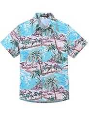 Blue/Brown Coconut Palm