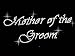 Mother of the Groom Clear Rhinestone Iron on Hotfix Transfer Bling DIY