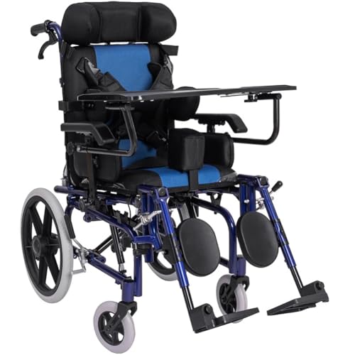 PA-DABAOO Wheelchair for Children and Adults with Cerebral Palsy, Foldable Aluminum Wheelchair, Lightweight Reclining Wheelchair, Adjustable Headrest/Sitting Position/Armrest Height,B