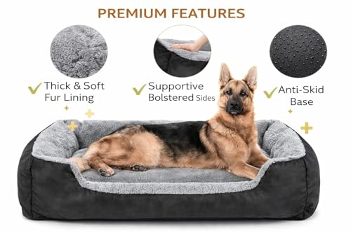 Image of SITSNOOZE Reversible Orthopedic Donut Dog Bed Large Size for Pets 10 to 20 kg Washable Cotton Sofa for Labrador, German Shepherd and Golden Retriever (Black, L)