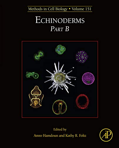  Echinoderms Part B (ISSN Book 151) (English Edition)