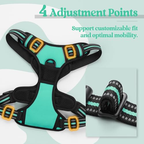 Image of rabbitgoo Dog Harness No Pull with 2 Leash Clips, Adjustable Soft Padded, Reflective Oxford No Choke Pet Vest with Easy Control Handle for Small Dogs, Turquoise, S