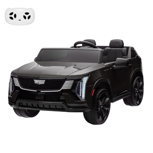 2 Seater Ride on Car for Kids 24V Electric Car Toy Toddlers Battery Powered Ride on Truck with 2.4G Remote Control, Full-Wheel Suspension, Music, LED Lights, Black