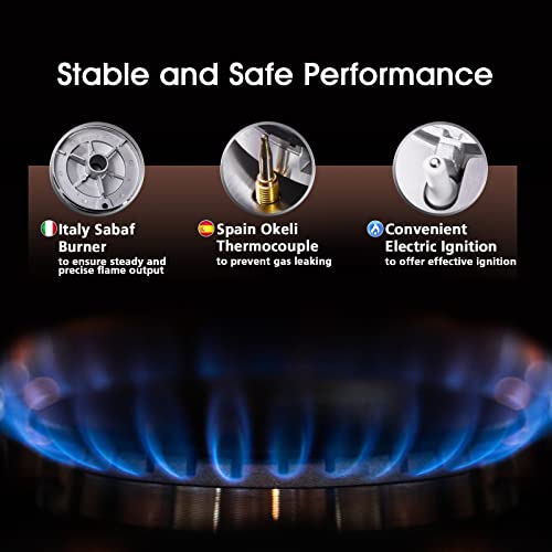WAFIET-Gas-Stove-Cooktop-with-2-Burners-LPGNG-Convertible-12-Stainless-Steel-Portable-Stove-Propane-Stove-Top-with-Thermocouple-Protection-and-Easy-to-Clean
