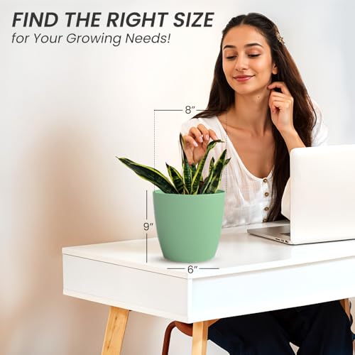 Image of YUCCABE ITALIA SHERA Stella 8 Inch Plastic Plant Pot for Home Decor Indoor Plant Pots for Living Room Plastic Flower Pot for Garden (Aqua, 8 INCH - 6 Pcs)