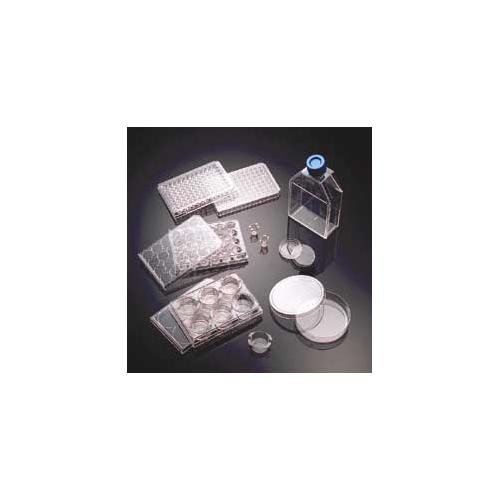 Collagen FLASKS T-75 COLL IV COATD CS10