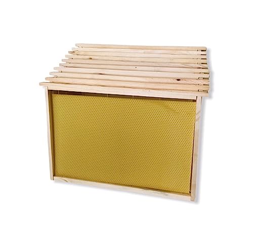 Mondo Ape 10 TELAINI da Nido con Foglio CEREO