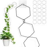 Chain Trellis for Climbing Plant, 3 Pack 18PCS Indoor & Outdoor House Climbing Plant Support Accessories 7.5ft DIY Garden Wall Trellis for Monstera Pothos Ivy Vine Houseplant