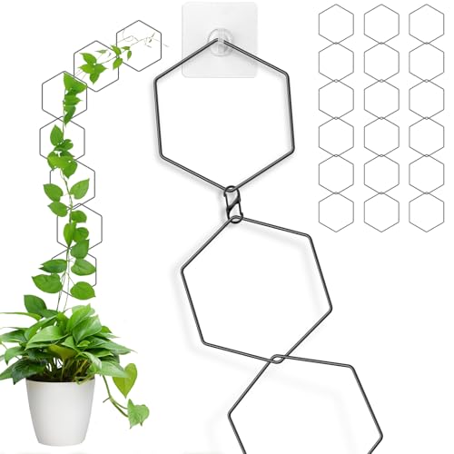 Chain Trellis for Climbing Plant, 3 Pack 18PCS Indoor & Outdoor House Climbing Plant Support Accessories 7.5ft DIY Garden Wall Trellis for Monstera Pothos Ivy Vine Houseplant