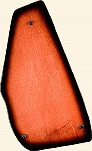 Oscar Schmidt OS21C Autoharp with a Black Padded Gig Bag