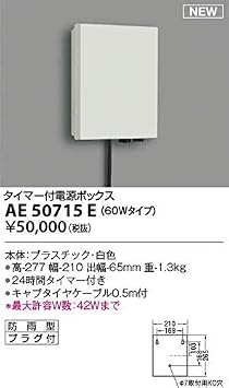 Koizumi Lighting AE50715E 60W Type Dedicated Power Supply Box with Timer