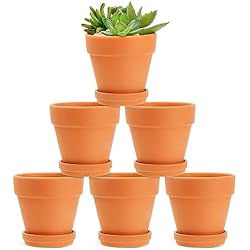 Macetas De Barro Jaen Macetas de Terracota con Platos de Juvale (10,2 cm, Paquete de 6)