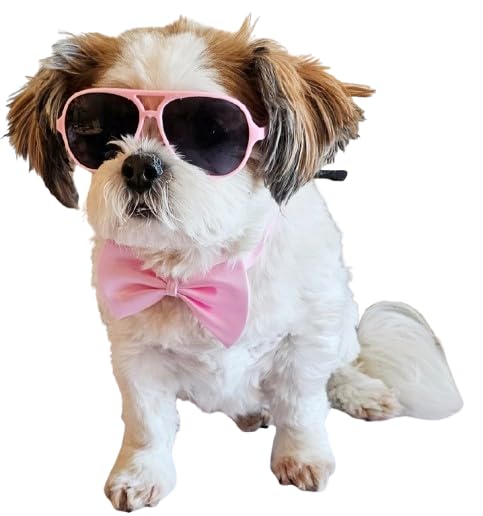 C09 Dog Pet Cat Costume Set Retro Sunglasses + Bow Tie Adjustable for Small-Medium Dogs 12-30 lbs Party Prop Cosplay Photoshoot (Pink Aviator + Pink
