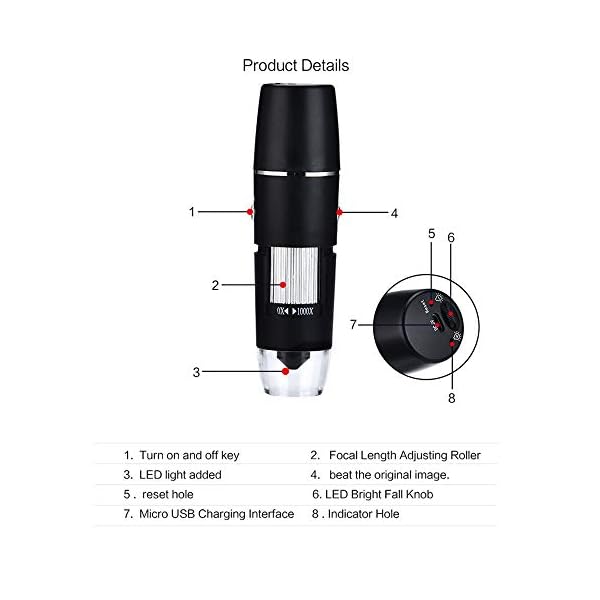 LEAMER 50-1600X Digital Vergrößerung Endoskop 8 LED USB 0.3MP 3 in 1 Tragbares Mikroskop Mini Handheld Digital Mikroskop… – Bild 3