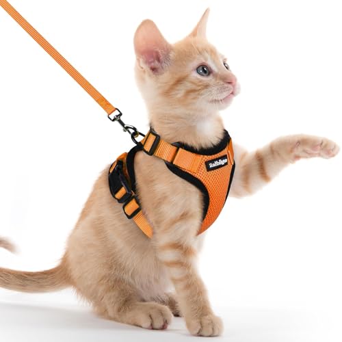 Image of rabbitgoo Cat Harness and Leash Set, Escape Proof Vest, Orange | Soft Breathable Mesh, Easy Adjustable Fit, Snap Buckles, Sturdy Clip, Reflective Strips, for Kittens & Small Cats Walks, Xxs