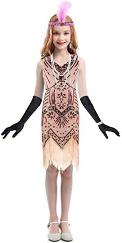 Girls Flapper Dresses 1920s Beaded Fringed Great Gatsby Dress (Pink, Large)