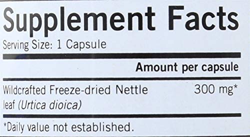 Eclectic Nettles Leaf Freeze Dried Vegetables With Glass, Blue, 50 Count #TOP4