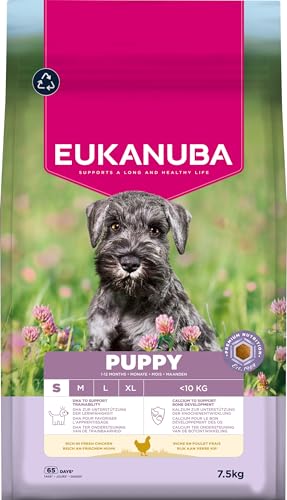 Eukanuba Welpenfutter mit frischem Huhn für kleine Rassen, Premium Trockenfutter für Junior Hunde, 7,5 kg