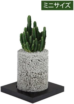 Amazon Co Jp Eco Pochi セレウスサボテン エコポチ シリンダーミニ 円柱型ミニサイズ 白 期間限定 春 秋限定発売 竹炭やシラスを使った観葉植物用ポッド ホーム キッチン