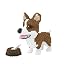 Corgi Dog,model 4565