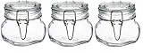 Bormioli Rocco Fido Clear Glass Jar with 85 mm Gasket ,0.5 Liter (Pack of 3)