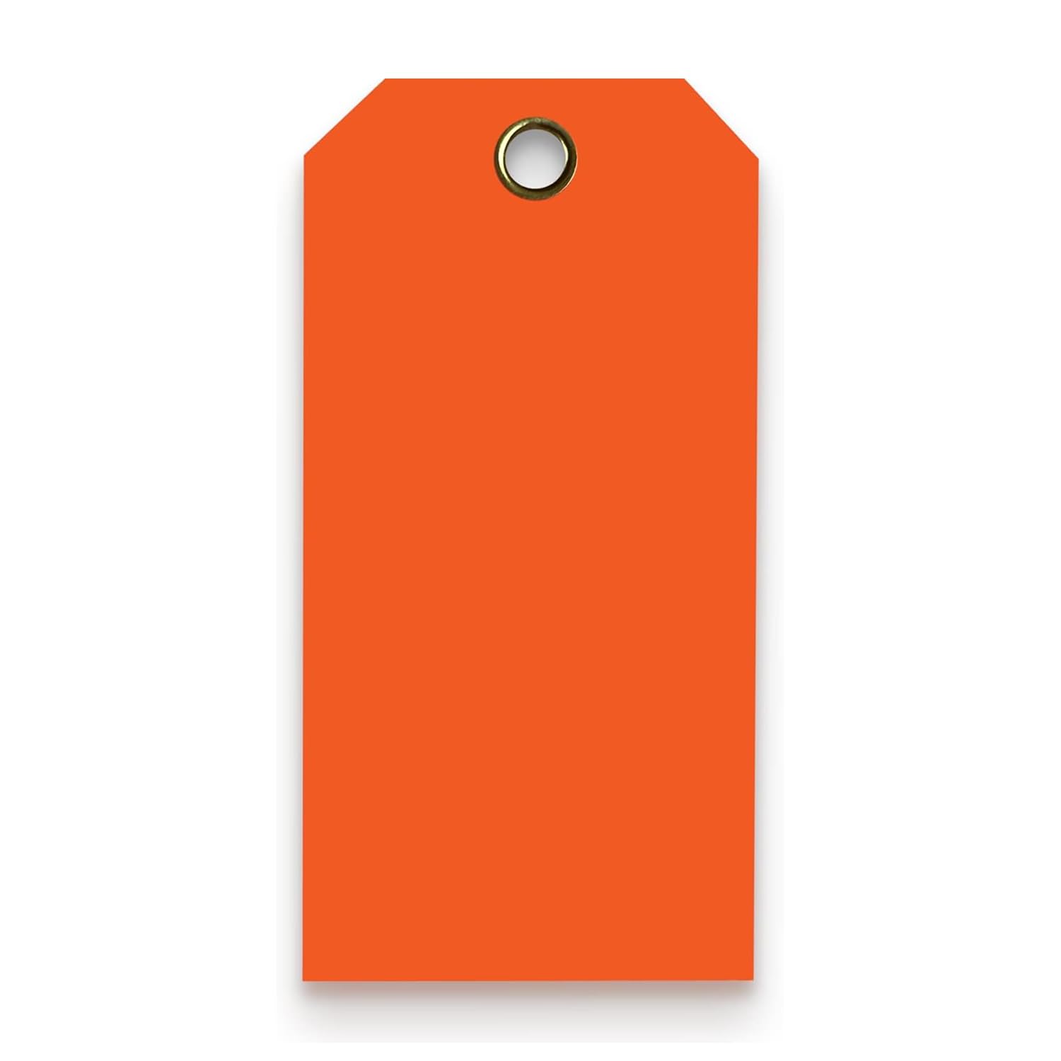 Sponsored Ad - Tags 4 Less 15 Mil Waterproof Plastic Tags, Pack of 100 – 3” x 6” Heavy Duty Plastic Tags for Labeling, Outdoor Tagging, Equipment Labeling, Luggage, Valves & More (Orange)